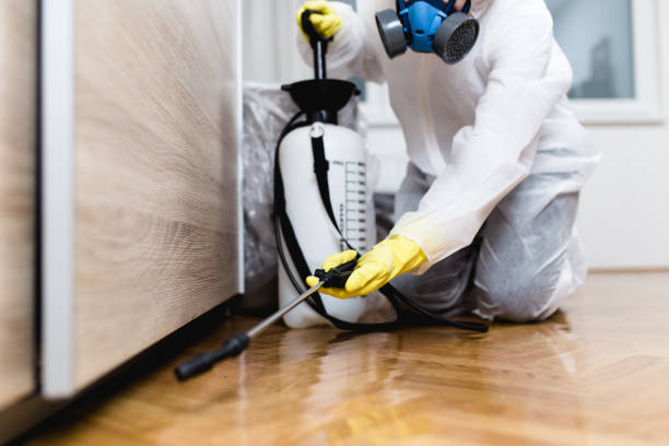 Best Cockroach Control Services  in North Pearsall, TX