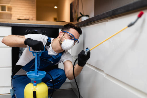 Reliable North Pearsall, TX Pest Control Solutions