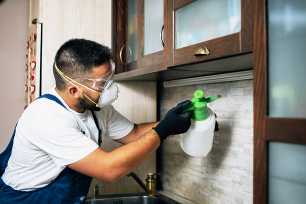Best Commercial Pest Control Services  in North Pearsall, TX