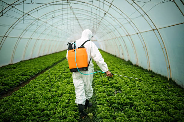 Best Pest Removal Services  in North Pearsall, TX