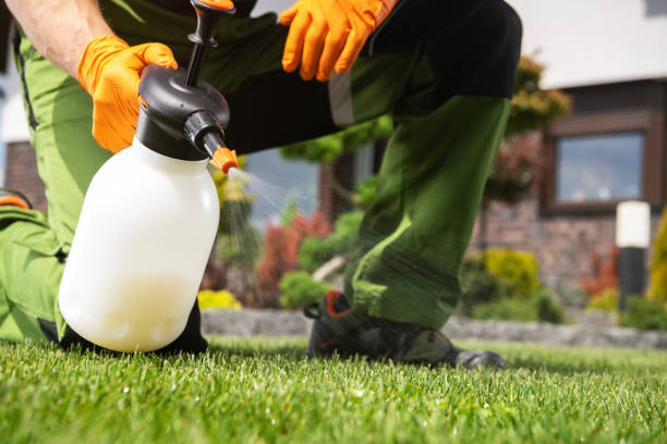 Best Insect Control  in North Pearsall, TX