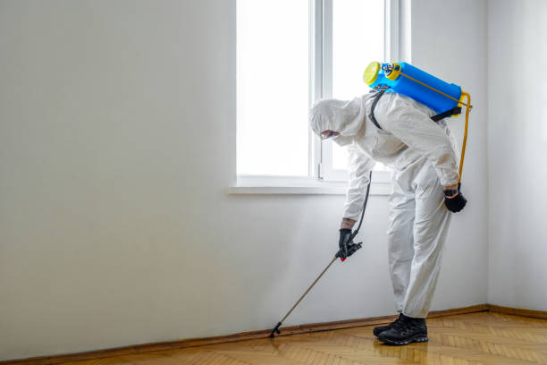 Best Termite Control Services  in North Pearsall, TX