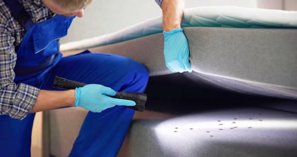 Best Ant Control Services  in North Pearsall, TX