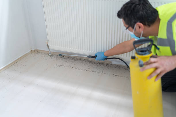 Best Pest Inspection Near Me  in North Pearsall, TX