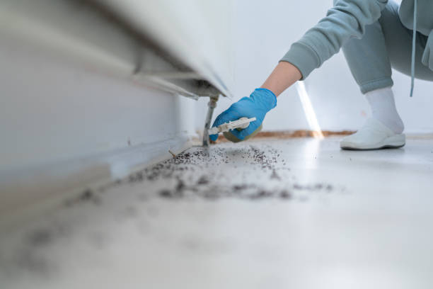 Best Wildlife Control Services  in North Pearsall, TX